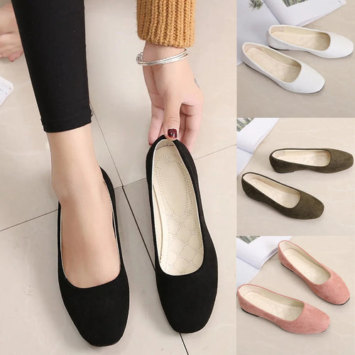 S13c1a7fbcf9d4d438b56fd4c9840494cb